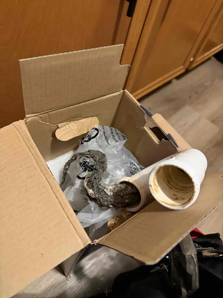 Old drain pipes removed from under a kitchen sink with heavy grease and scale buildup visible inside the pipe openings
