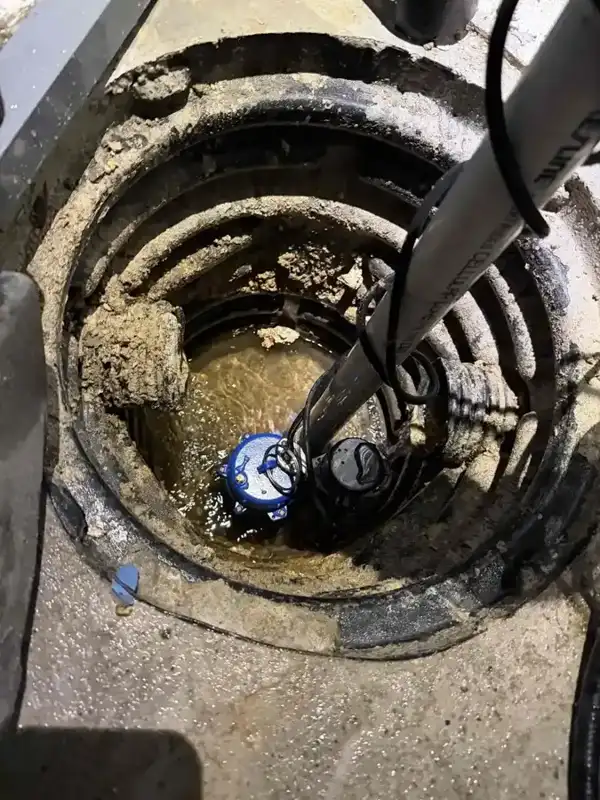 Sump pit lined with dirt and gravel with the float and pump buried in sediment