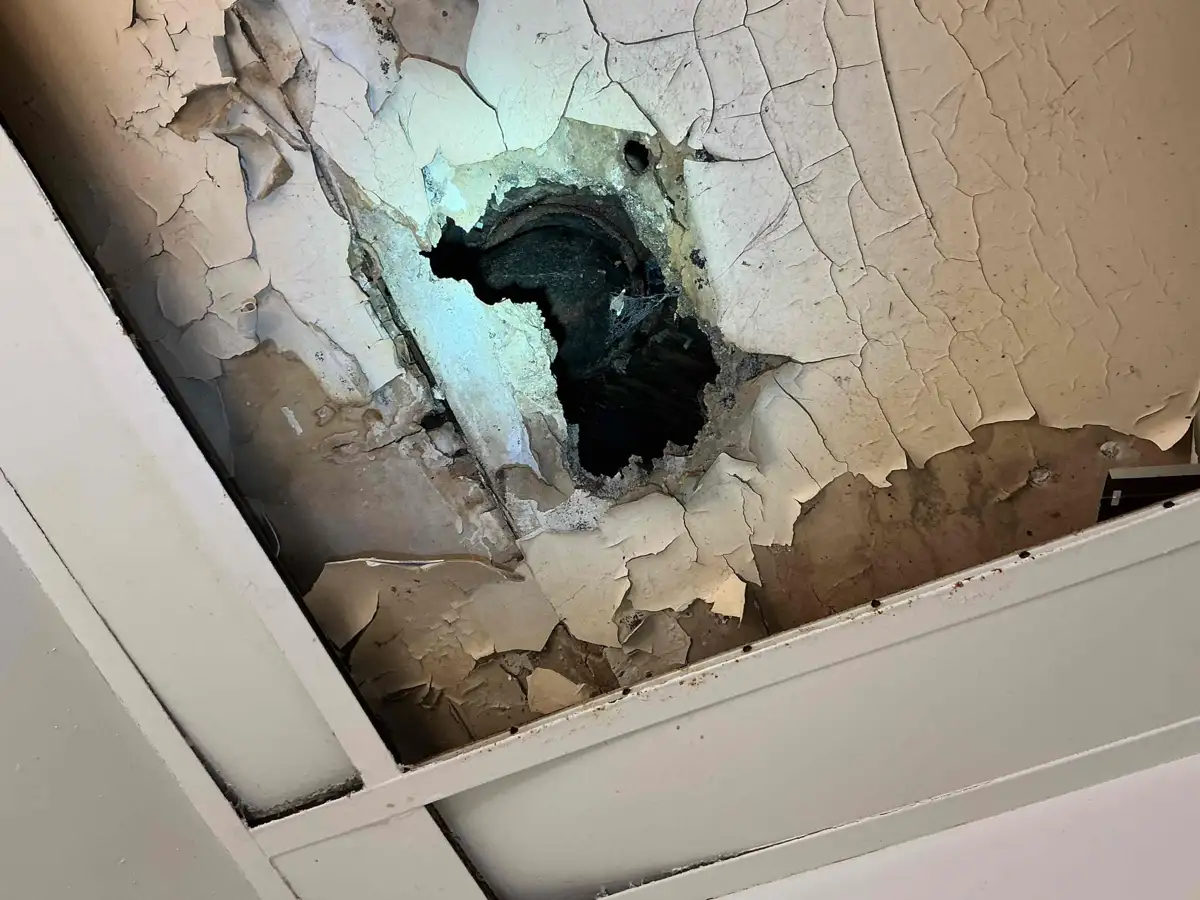 Basement ceiling tile with peeling paint and a hole soaked through by a leaking pipe above