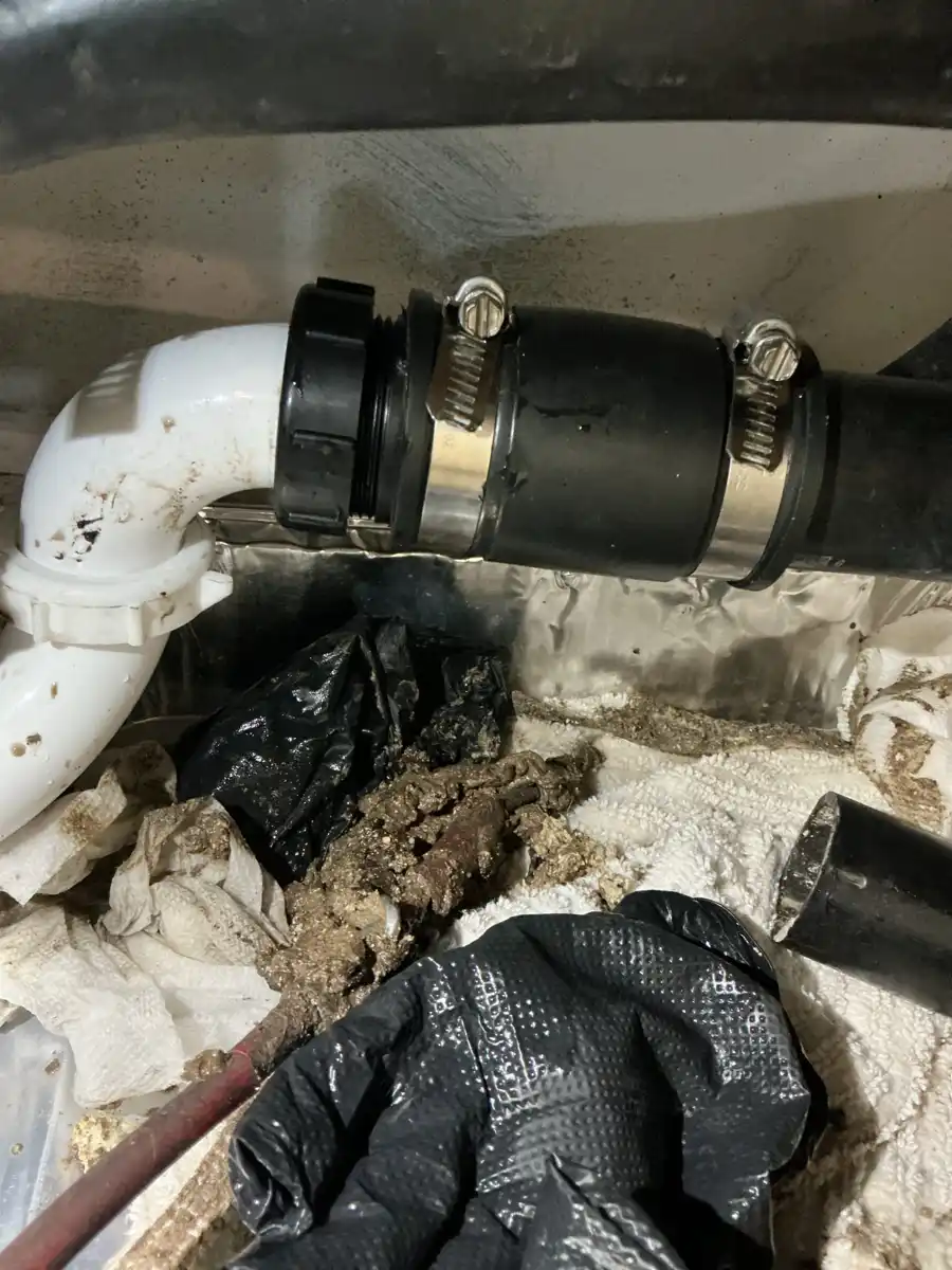 Grease and food sludge pulled out of a kitchen drain line at a pipe joint past the trap