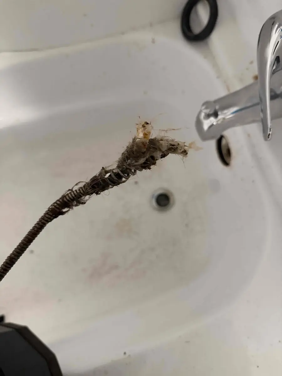 Hair and soap clog pulled out of a bathtub drain with a plumbing snake after Drano failed